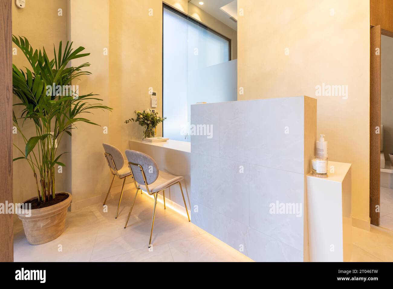 Design interno dell'ingresso di una clinica di lusso con piante e sedie Foto Stock
