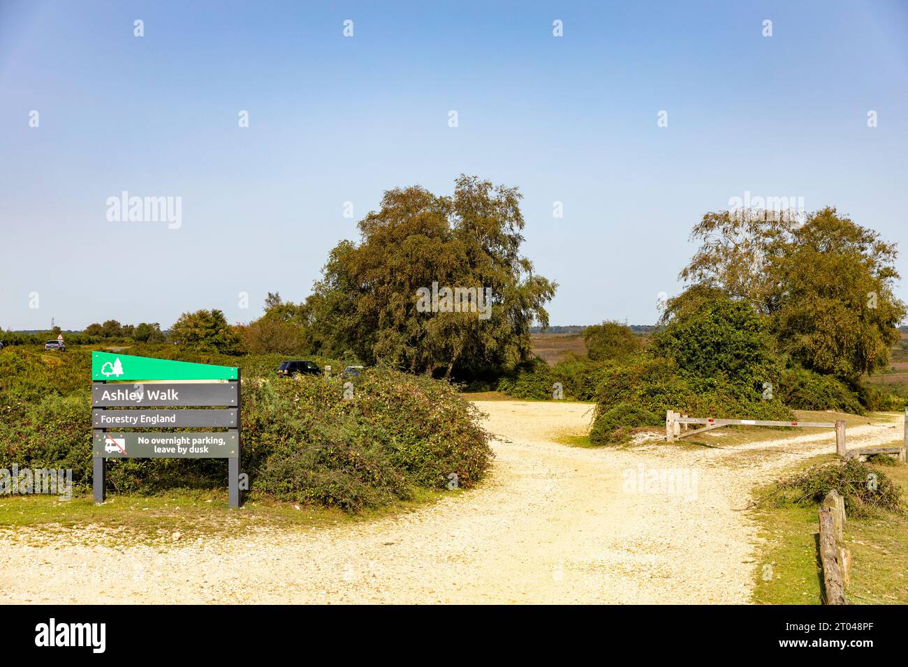 New Forest Hampshire Ashley Walk vicino a Lyndhurst, con un cartello informativo che dichiara no pernottamento in campeggio, Inghilterra, Regno Unito Foto Stock