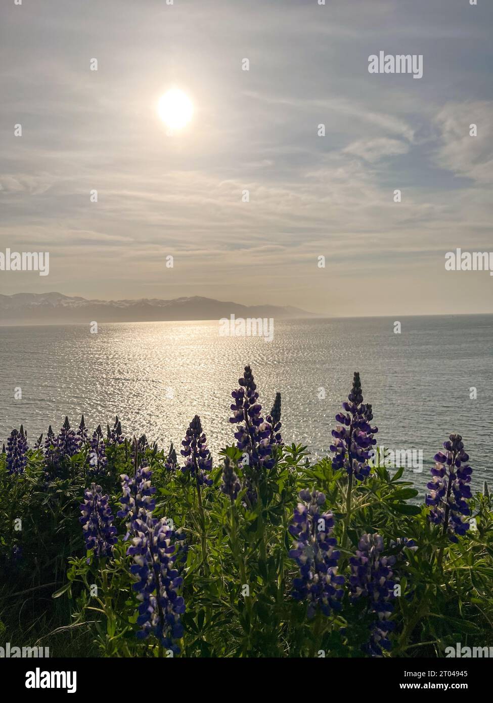 Viste al largo della costa di Húsavík in Islanda Foto Stock