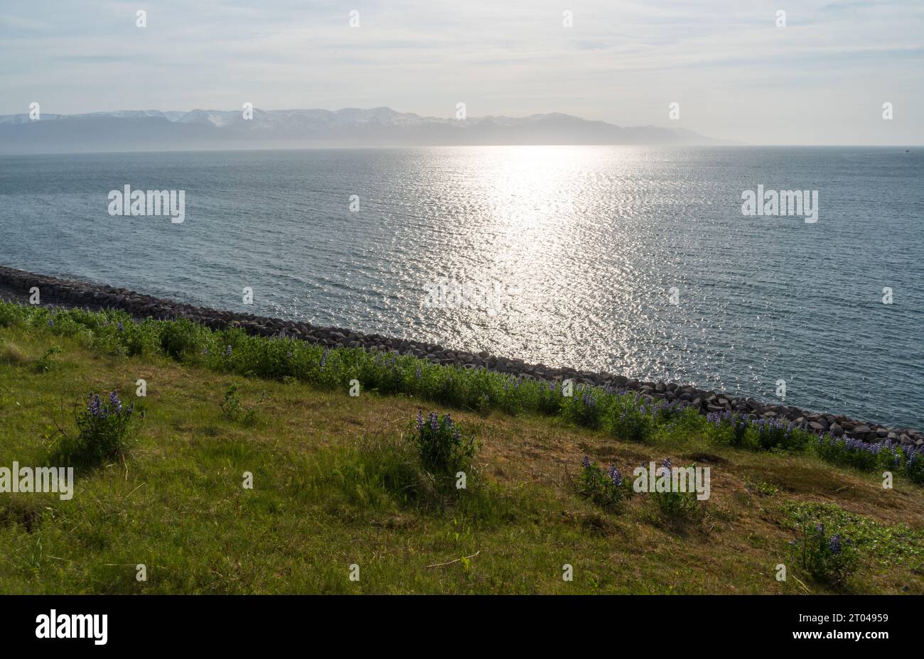 Viste al largo della costa di Húsavík in Islanda Foto Stock