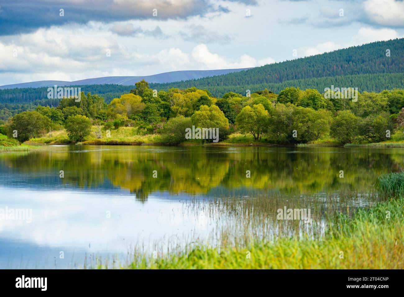 Vista del fiume Spey vicino a Boat of Garten, Strathspey, Highland Region, Scozia, Regno Unito Foto Stock