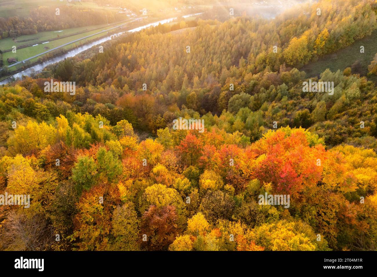 Foresta autunnale in montagna durante il tramonto e la stagione autunnale. Foto Stock