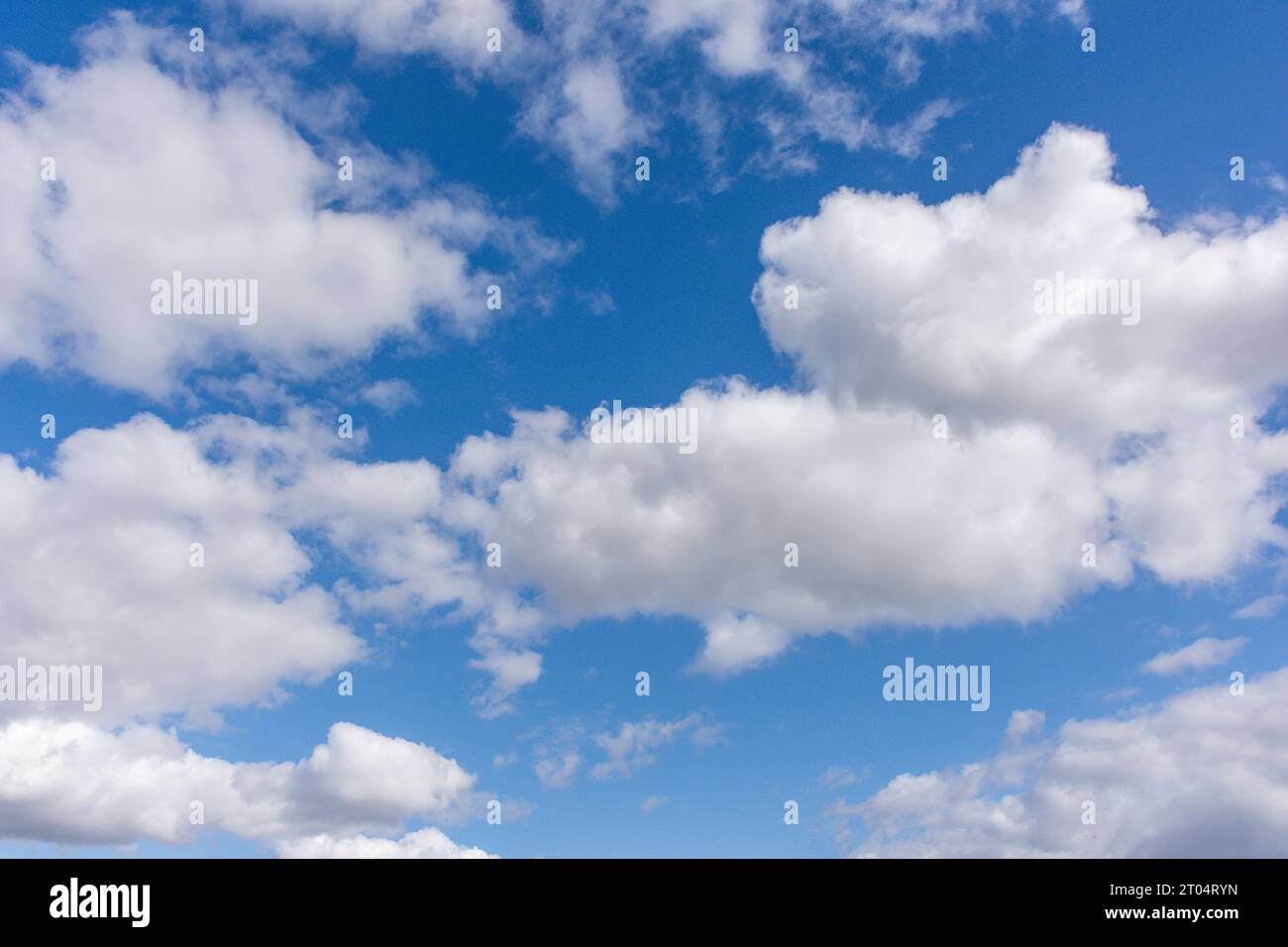 White cumulus nuvole contro cielo blu a Runnymede Pleasure Ground, Runnymede, Surrey, Inghilterra, Regno Unito Foto Stock
