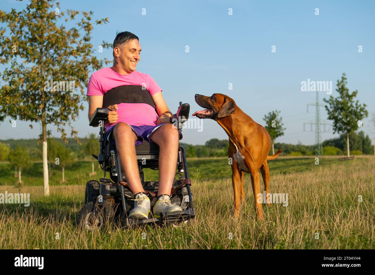 Uomo in sedia a rotelle che parla con un adorabile compagno di cani seduto sull'erba. Proprietario di sesso maschile che si gode un weekend con il cane sullo sfondo soleggiato della campagna Foto Stock