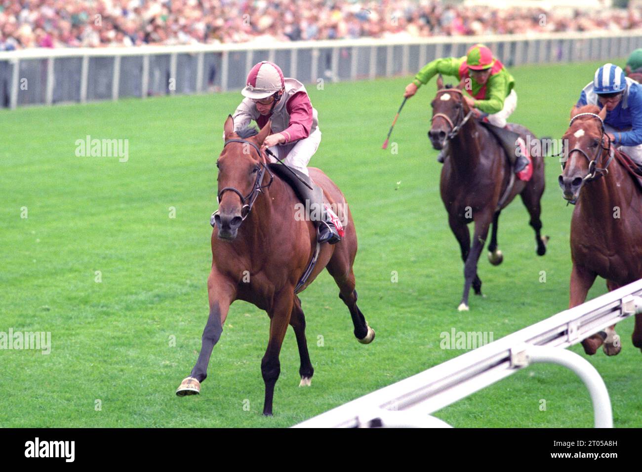 File foto datato 21-08-1990 di Steve Cauthen On in the Groove vince la Juddmonte International Stakes. Il leggendario jockey americano Steve Cauthen e i Pebbles allenati da Clive Brittain sono gli ultimi indotti nella Qipco British Champions Series Hall of Fame. Data di emissione: Mercoledì 4 ottobre 2023. Foto Stock
