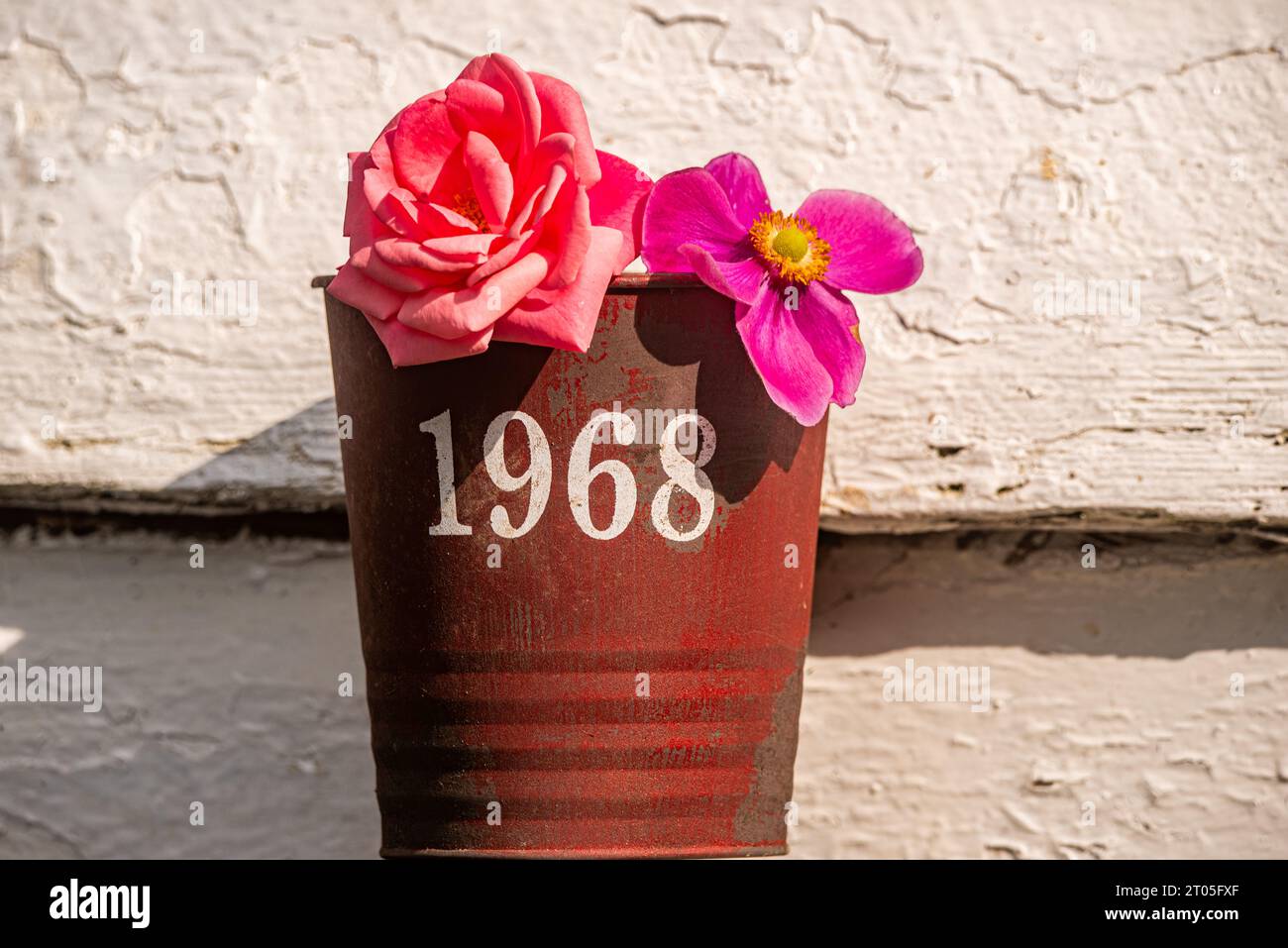Fiori in vaso di fiori rossi con la data 1968 dipinta di bianco sul vaso Foto Stock