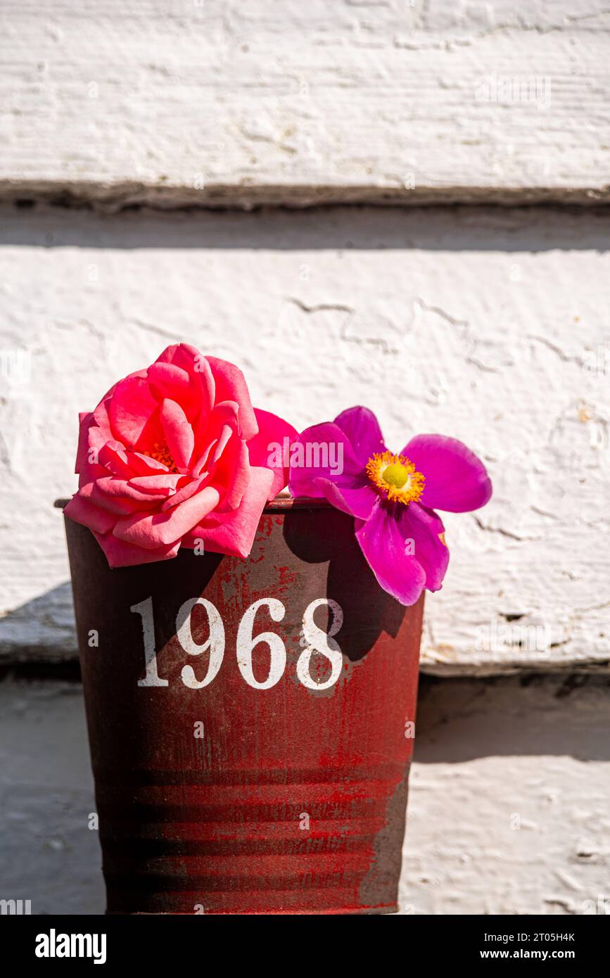 Fiori in vaso di fiori rossi con la data 1968 dipinta di bianco sul vaso Foto Stock