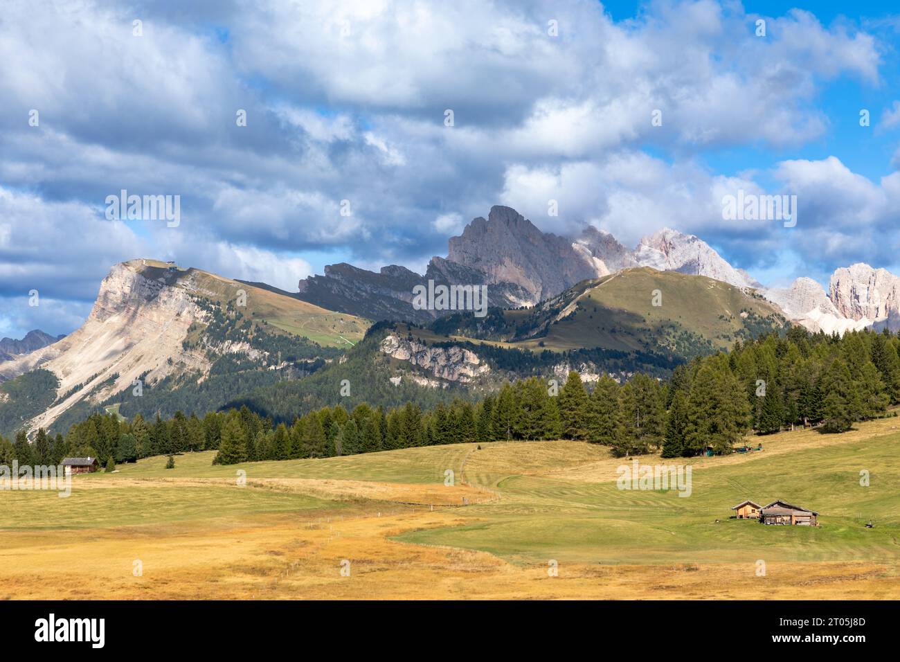 Vista dall'Alpe di Siusi, dall'Alpe di Siusi, al gruppo Seceda e Odle, alto Adige Foto Stock