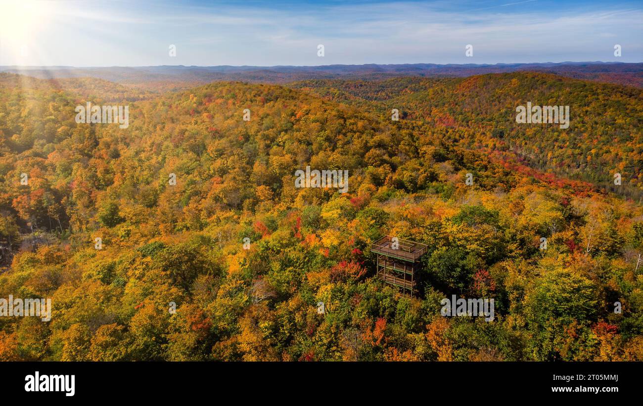 Torre di osservazione in mezzo alla foresta durante l'autunno, Ripon, Quebec, Canada Foto Stock