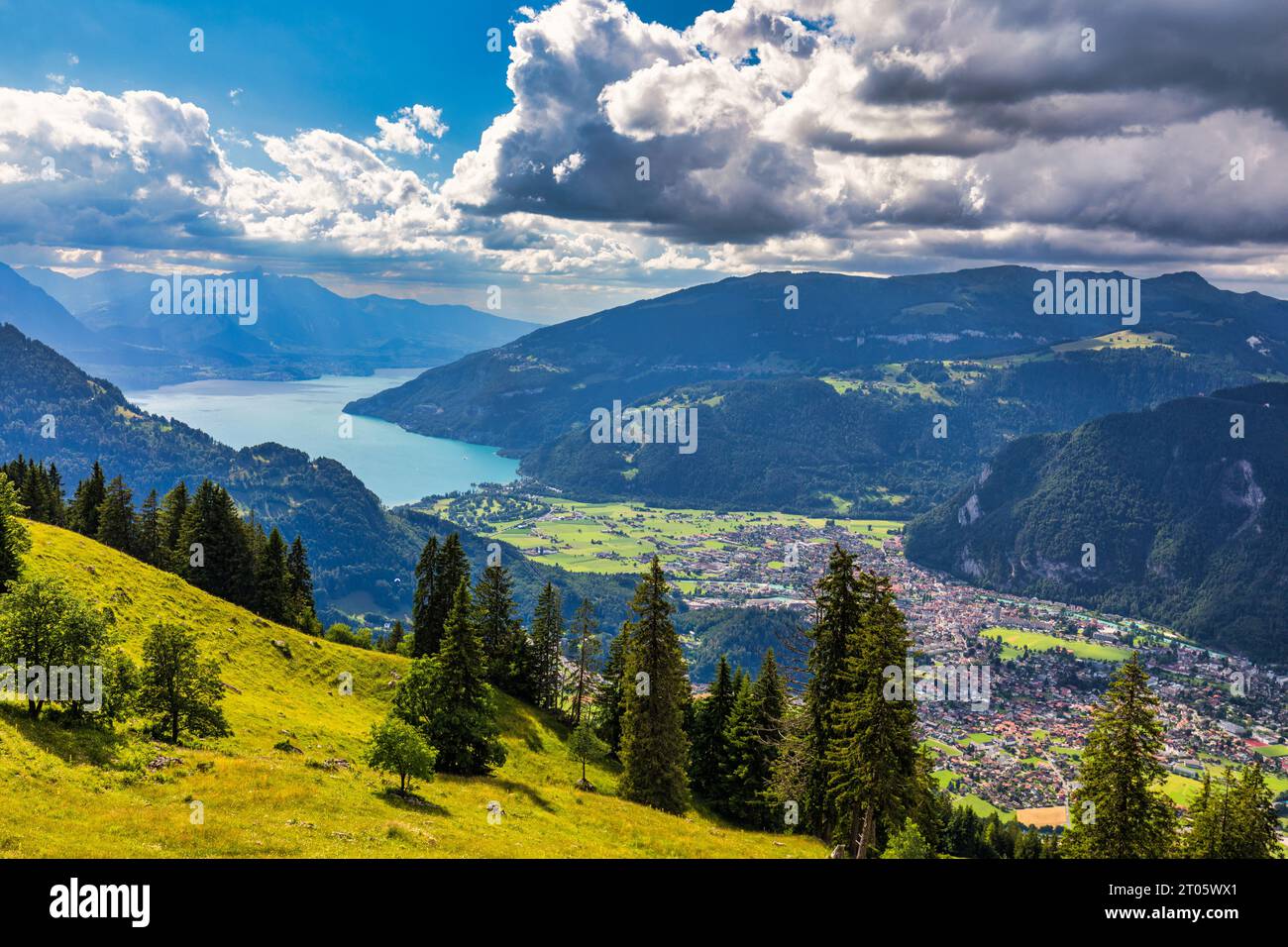 Splendida vista sul lago di Thun e sul lago di Brienz dal sentiero Schynige Platte nell'Oberland Bernese, Canton Berna, Svizzera. Montagna popolare in al svizzero Foto Stock
