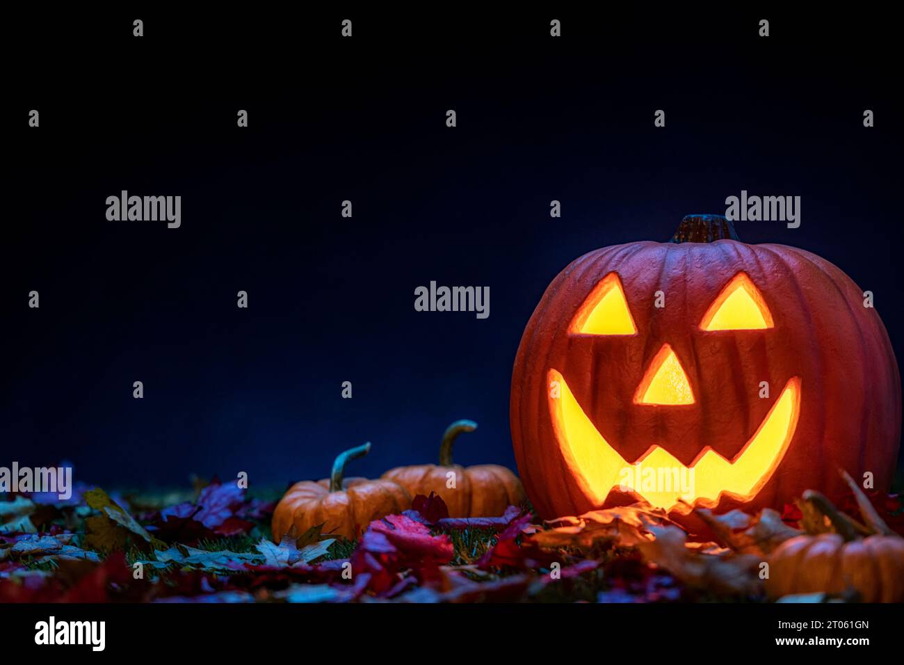 Una zucca scolpita in una Lanterna Jack o sorridente seduta nell'erba con piccole zucche e foglie cadute come decorazione di Halloween. Foto Stock