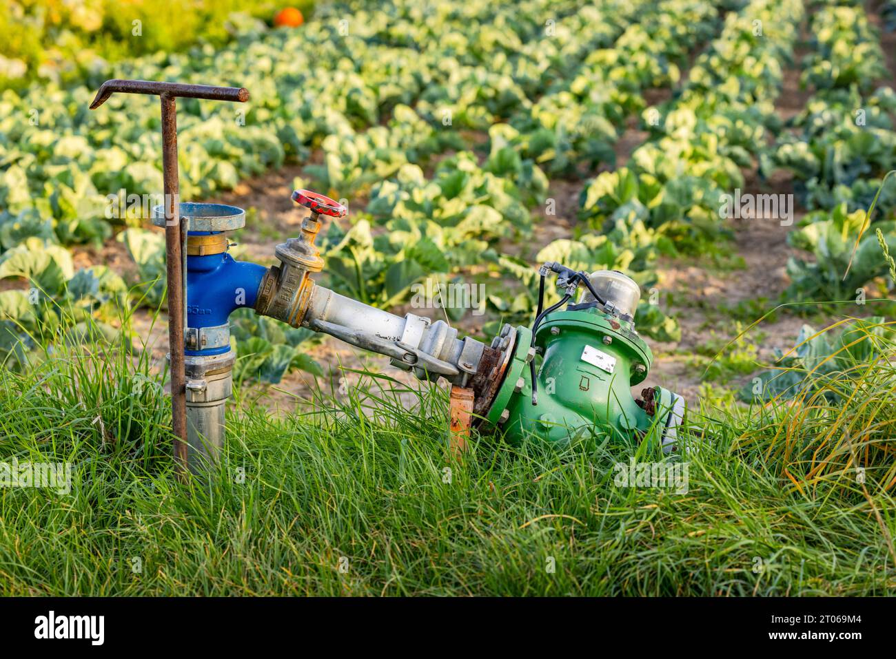 Una pompa dell'acqua per l'irrigazione del campo durante la siccità esposta di fronte a un campo agricolo con verdure Foto Stock