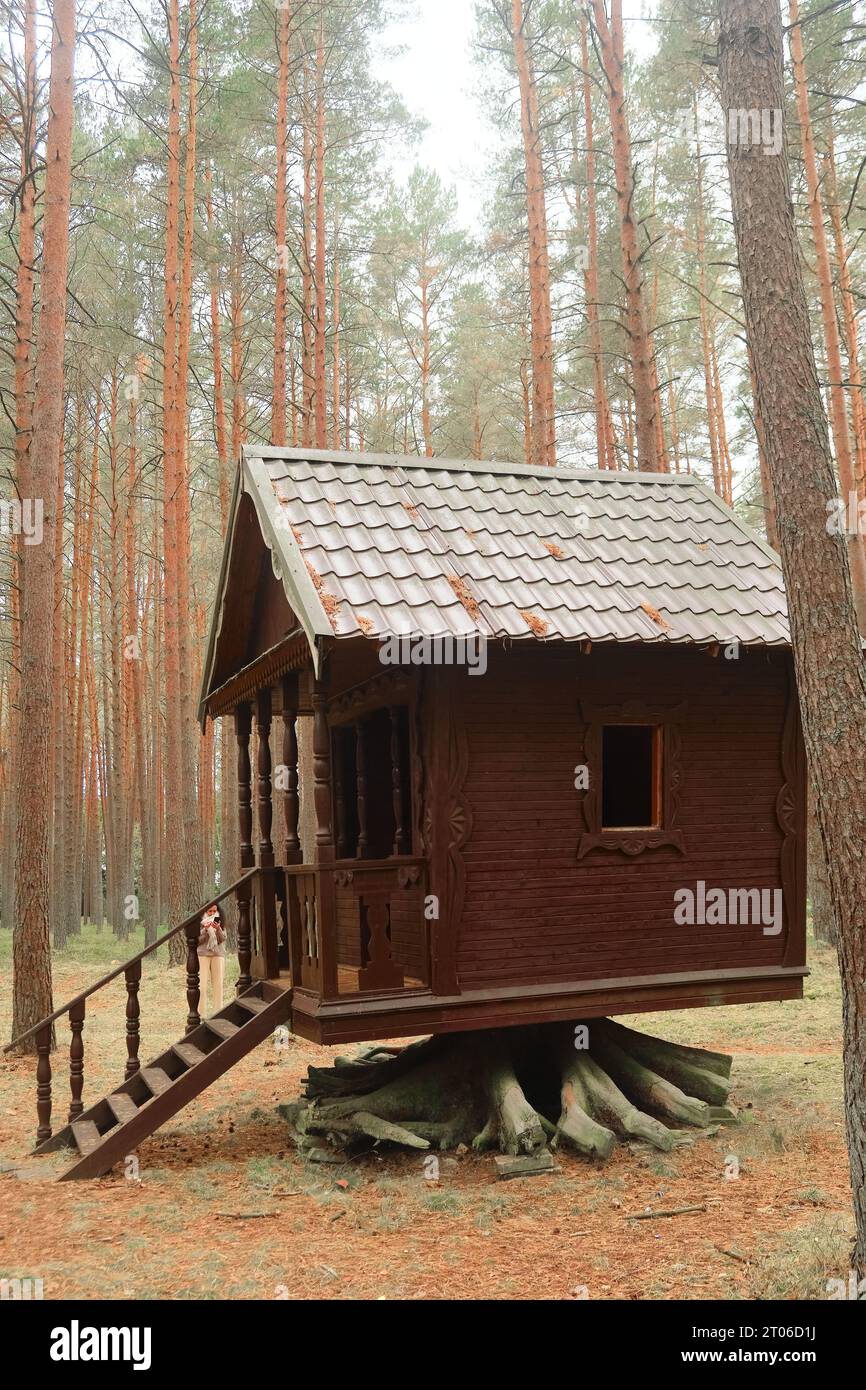 Capanna spettrale e bella su un ceppo di alberi nella foresta. Il concetto di campeggio e la magica casa di Baba Yaga della mitologia slava Foto Stock