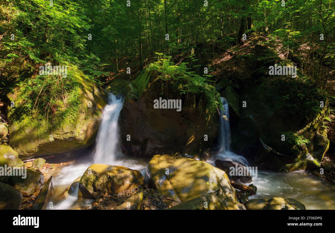 cascata tra le rocce della foresta. splendido sfondo naturale in estate. ambiente panoramico del parco naturale Foto Stock