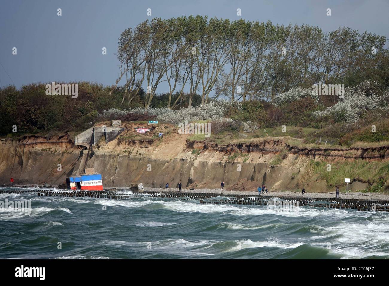 Hohe Ufer Steilküste 04.10.2023, Ahrenshop Ortsteil Niehagen auf dem Darß, Steilküste zwischen den Ostseebädern Ahrenshoop und Wustrow. Die Wellen der Ostsee knappern immer mehr an der Steilküste und immer mehr land geht so verloren. während die alten DDR Grenzbunker nach ihrem Absturz noch im Ostseewasser zu sehen sind gibt es keine Spur mehr von den Wellenbrechern aus der DDR Zeit. Neuer Küstenschutz ist nicht vorhanden und die Steilküste bröckelt vor sich hin. Die Bruchkanten sind gefährlich und wurden gesperrt. Bürgerinitiative kämpft um den Erhalt des Küstenstreifens- *** scogliera alta riva Foto Stock