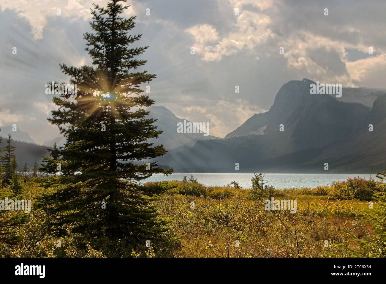 Bow Lake è un piccolo lago delle Montagne Rocciose canadesi, appena a sud del Bow Summit tra Jasper e Banff, in Alberta, Canada. Foto Stock