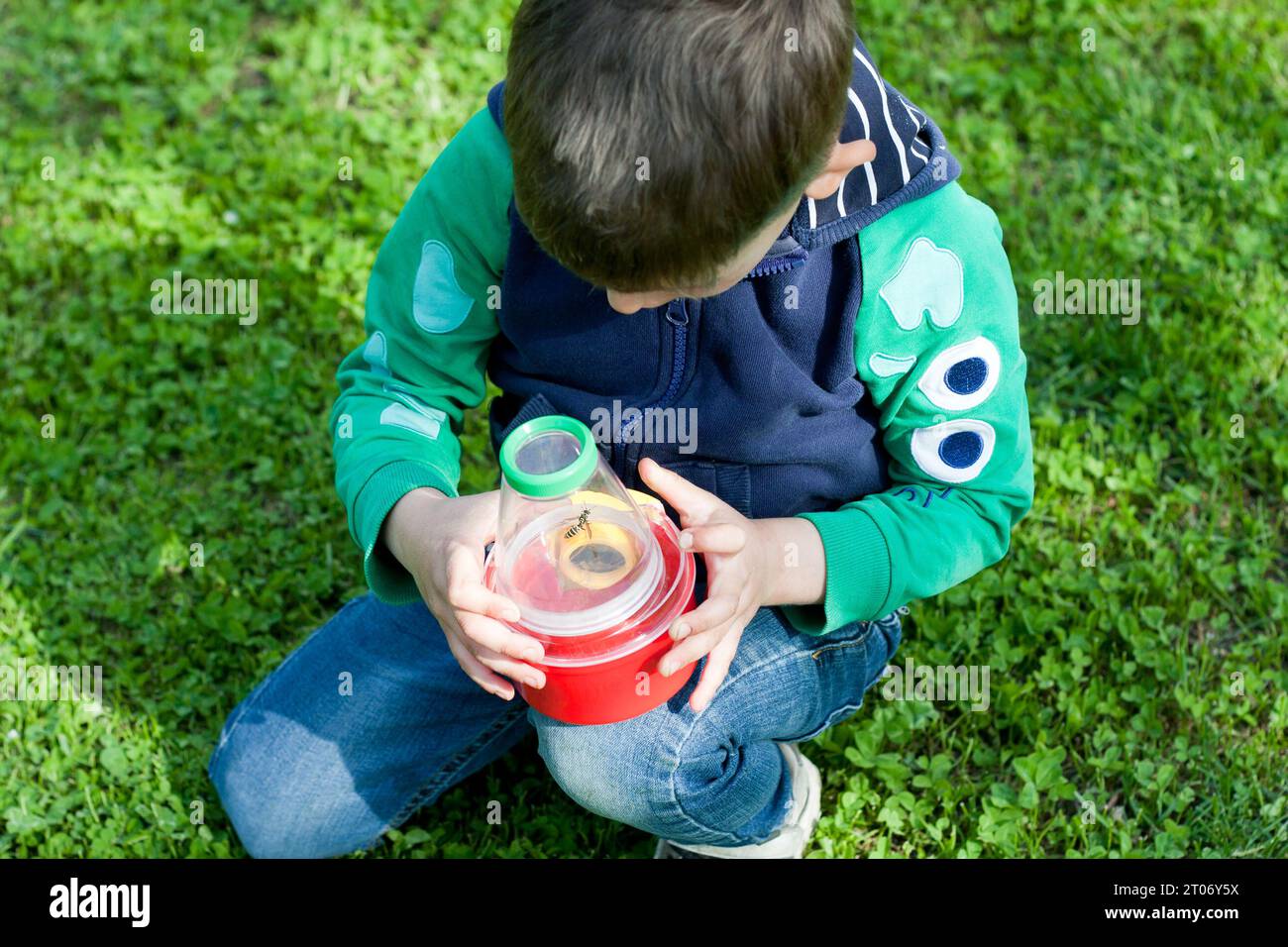 il bambino in età prescolare esamina un'ape sotto ingrandimento con l'aiuto di un pallone giocattolo educativo con lenti di ingrandimento. Vista dall'alto. Primavera. Natura. Foto Stock