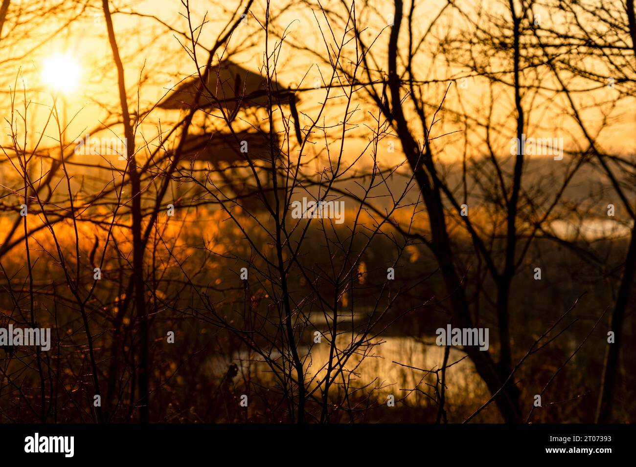 Lago invernale e albero di canne con punto di osservazione al tramonto sotto il sole giallastro Foto Stock