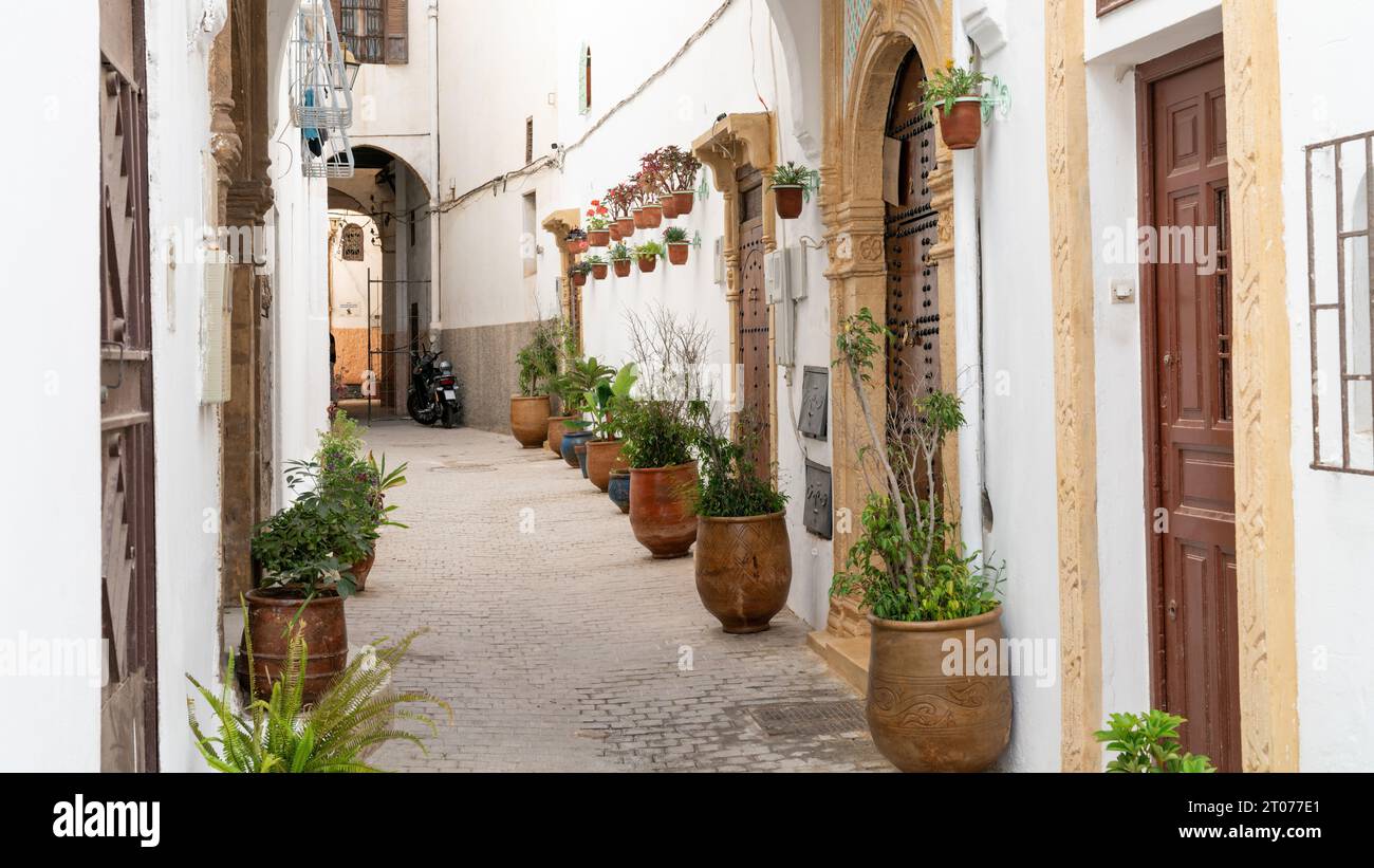 Stradine strette di Rabat, Marocco, con lanterne e piante sospese, come un viaggio indietro nel tempo. Gli edifici si inclinano vicino, ombreggiando le corsie dalla S. Foto Stock