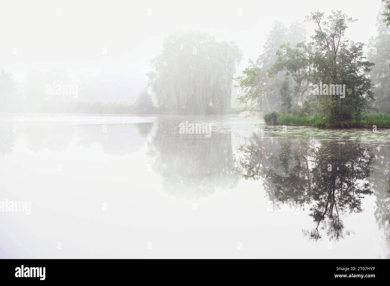 Riva del lago in una mattinata grigia nebbiosa con alberi e riflessi nell'acqua, tranquillo paesaggio naturale, spazio di copia, messa a fuoco selezionata, stretta profondità di fie Foto Stock