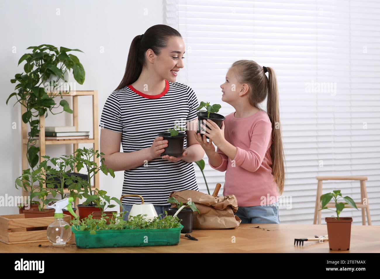 Piantine. Madre e figlia con piante diverse in camera Foto Stock