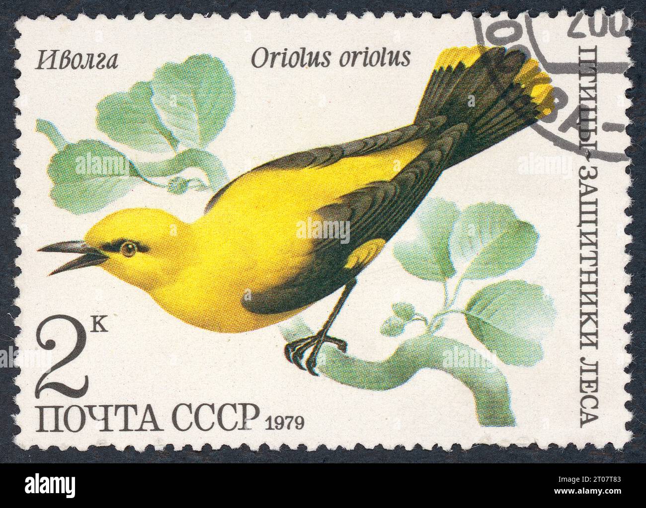 L'oriole dorata eurasiatica (Oriolus oriolus), chiamata anche oriole dorata comune, in russo "иволга". "Птицы – защитники леса" (uccelli – Guardiani della foresta). Francobollo emesso in URSS nel 1979. Foto Stock