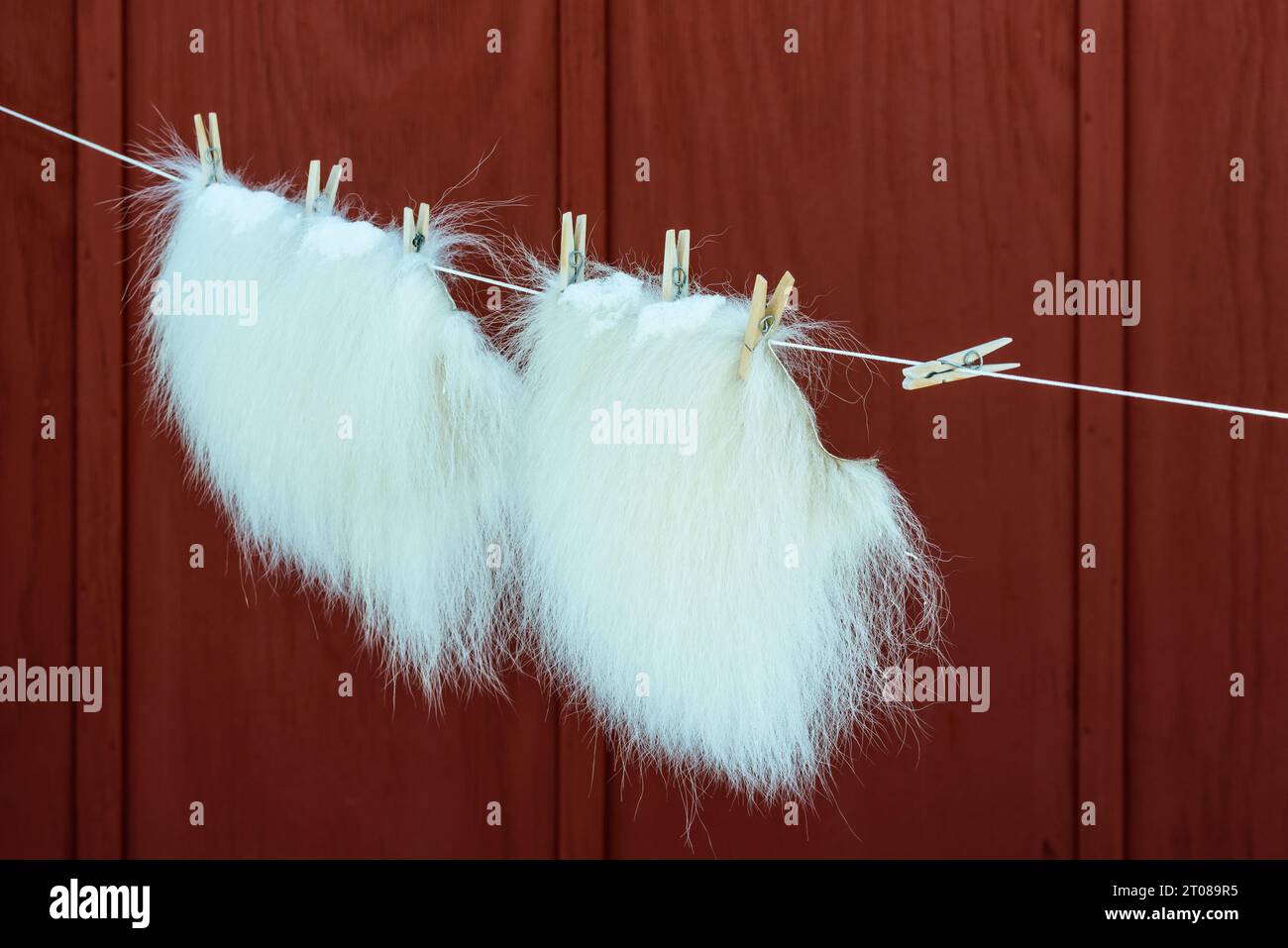 Guanti in eskimo per asciugare da clothespin in legno sulla linea di lavaggio. Foto Stock