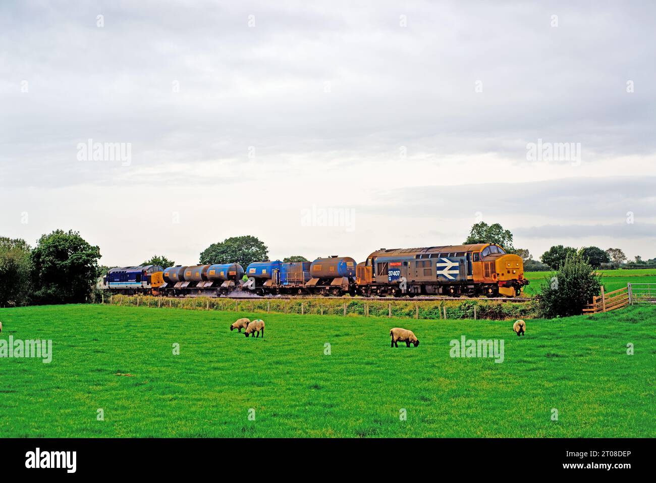 Classe 37407 Blackpool Tower on Rail Head Treatment Train, Haxby, Yorkshire, Inghilterra 4 ottobre 2023 Foto Stock