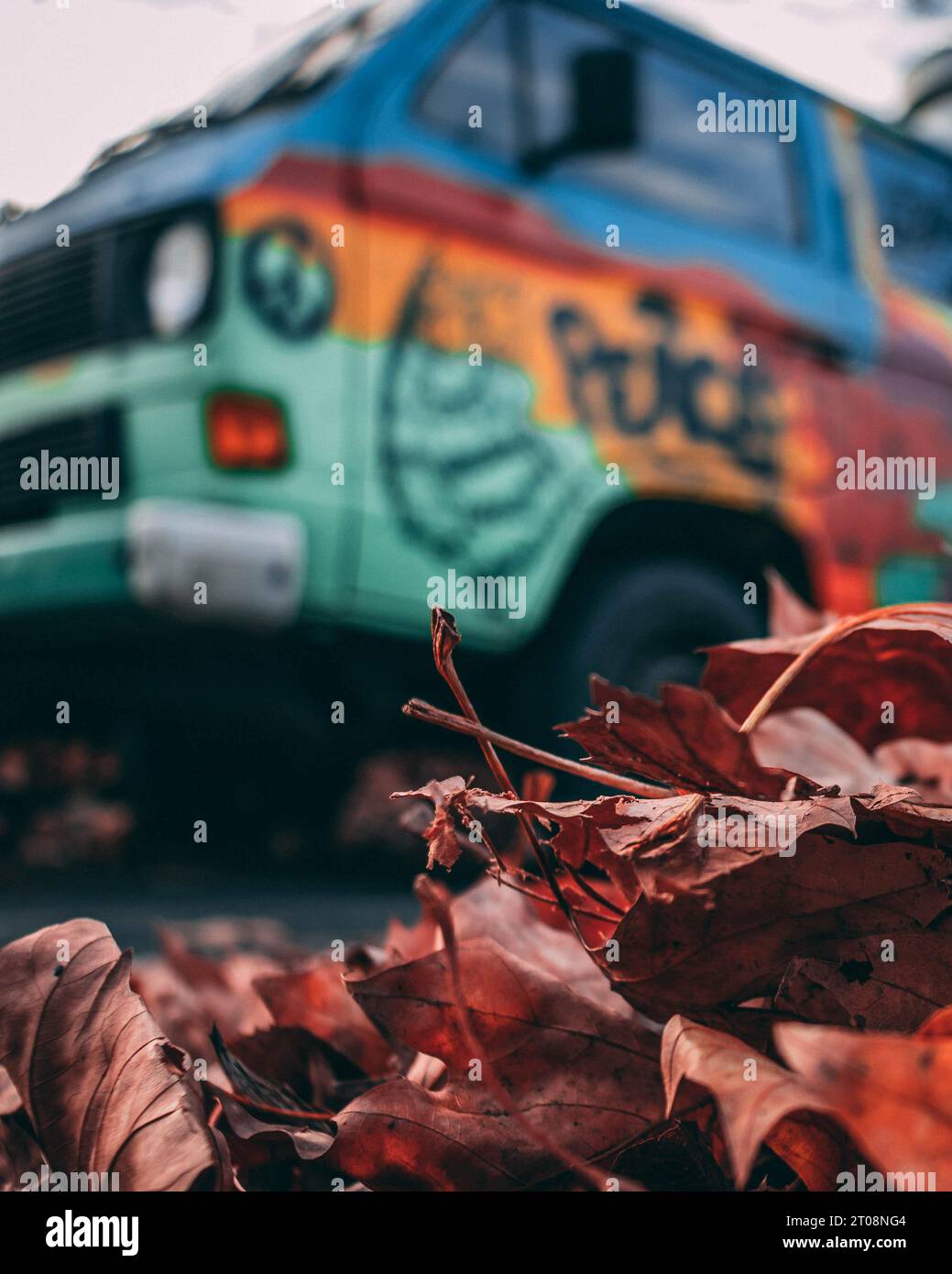 un camion hippy visto attraverso le foglie autunnali cadute Foto Stock