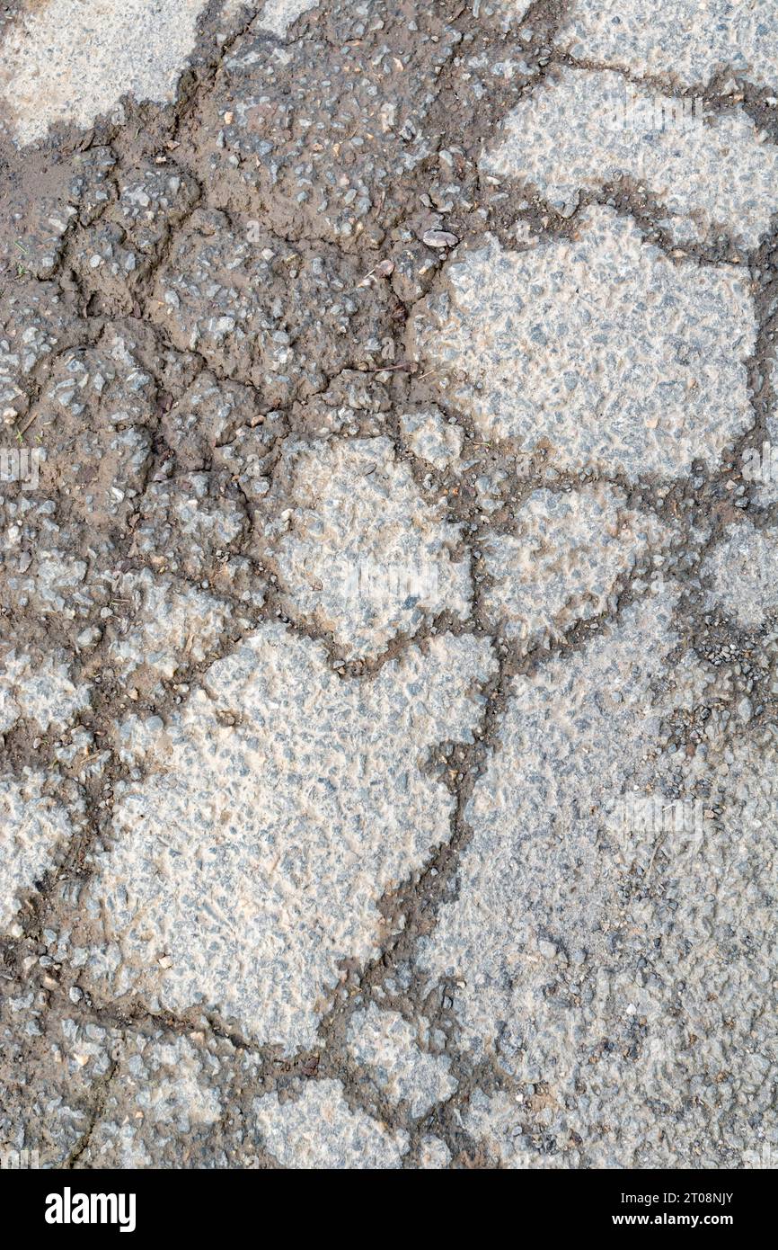 Crepe asfaltate abbastanza delineate rese visibili dall'infiltrazione di acqua piovana nella superficie incrinata. La tinta arancione proviene dal terreno rossastro presente nell'acqua. Foto Stock