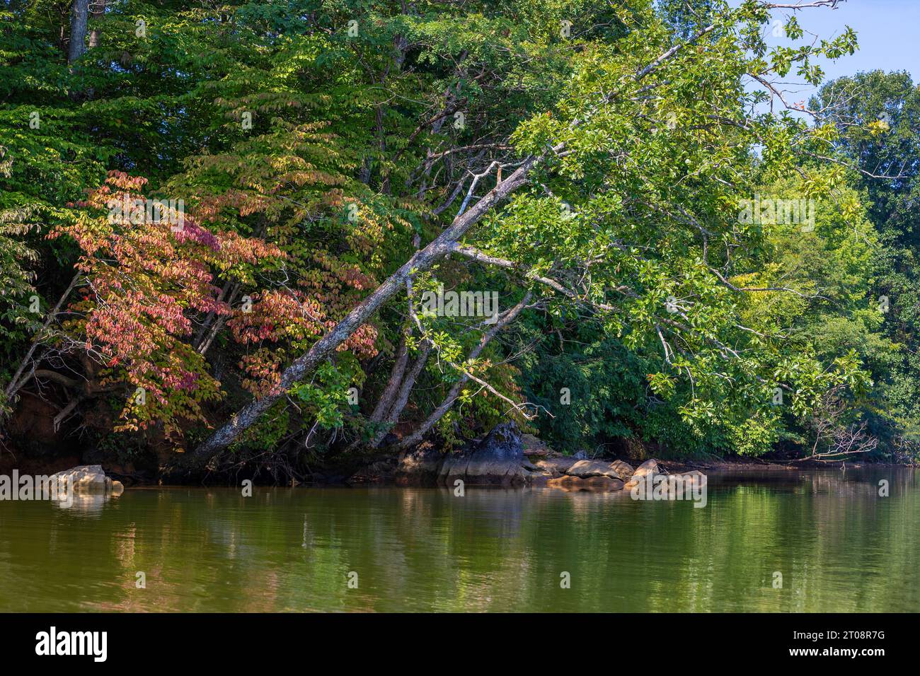 Vista panoramica da un kayak sul fiume Holston al Warrior State Park, a Kingsport, Tennessee, Stati Uniti. Foto Stock