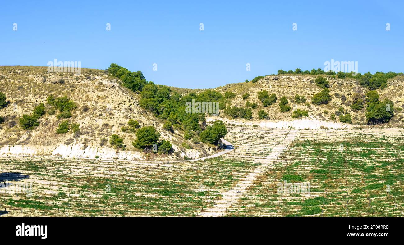 Paesaggio semi-arido nella provincia di Alicante, Spagna Foto Stock