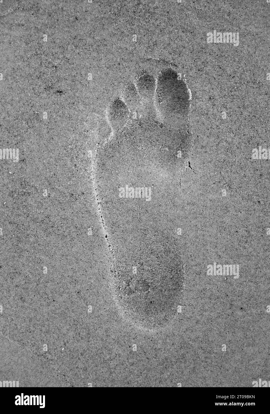 Impronta sulla sabbia. A piedi nudi sulla spiaggia. Foto Stock