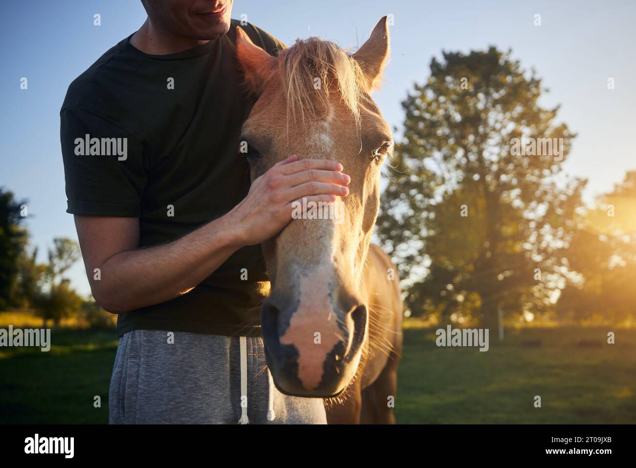 L'uomo accarezza la testa del cavallo terapeutico al bellissimo tramonto estivo. Temi ippoterapia, cura e amicizia tra persone e animali. Foto Stock