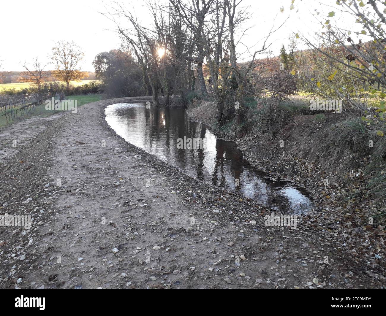 Costruzione di laghetti per la progettazione di giardini acquatici stagno e paesaggio naturale credito: Imago/Alamy Live News Foto Stock