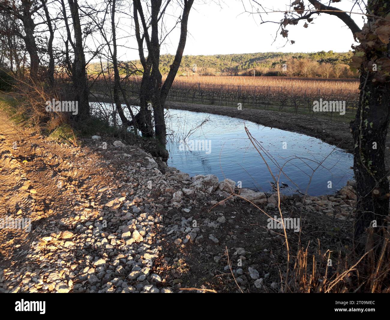 Costruzione di laghetti per la progettazione di giardini acquatici stagno e paesaggio naturale credito: Imago/Alamy Live News Foto Stock