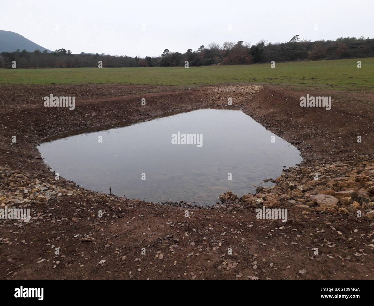 Costruzione di laghetti per la progettazione di giardini acquatici stagno e paesaggio naturale credito: Imago/Alamy Live News Foto Stock