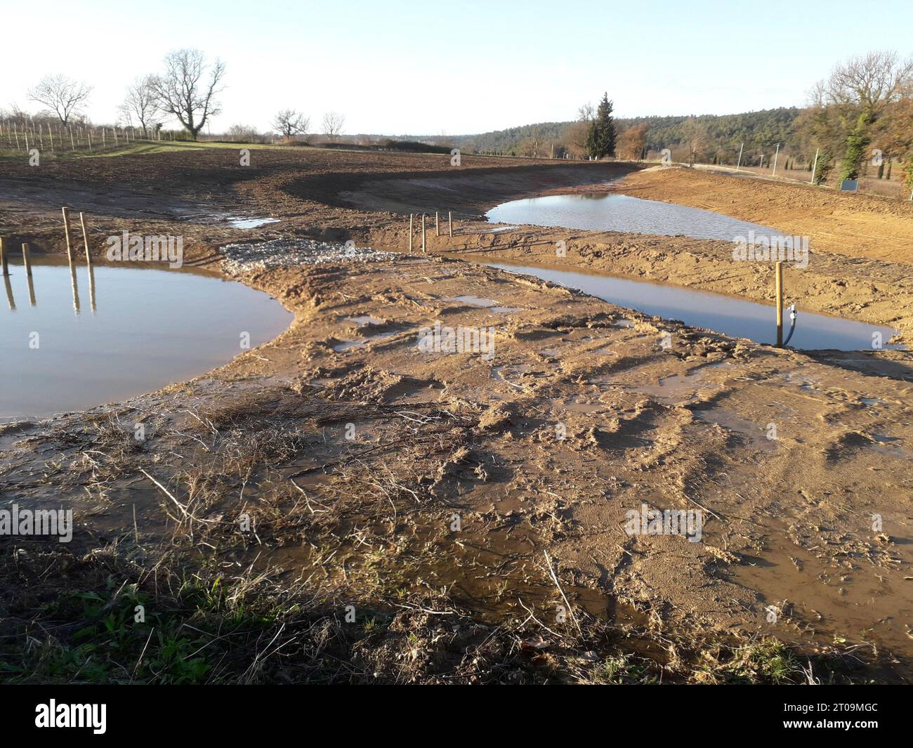 Costruzione di laghetti per la progettazione di giardini acquatici stagno e paesaggio naturale credito: Imago/Alamy Live News Foto Stock