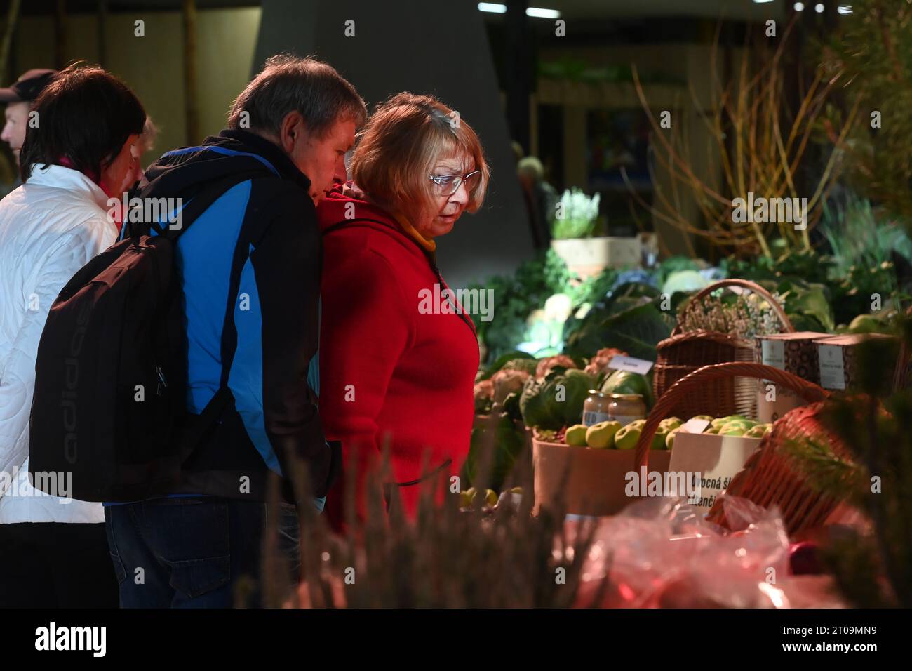 Olomouc, Repubblica ceca. 5 ottobre 2023. Inizio della mostra internazionale Flora Olomouc - Hortikomplex, che durerà fino all'8 ottobre a Olomouc, Repubblica Ceca, 5 ottobre 2023. Crediti: Ludek Perina/CTK Photo/Alamy Live News Foto Stock