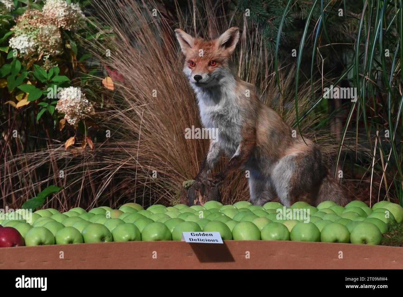 Olomouc, Repubblica ceca. 5 ottobre 2023. Inizio della mostra internazionale Flora Olomouc - Hortikomplex, che durerà fino all'8 ottobre a Olomouc, Repubblica Ceca, 5 ottobre 2023. Crediti: Ludek Perina/CTK Photo/Alamy Live News Foto Stock