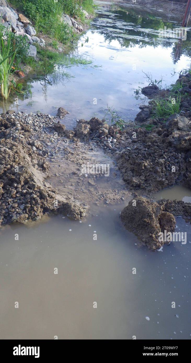 Costruzione di laghetti per la progettazione di giardini acquatici stagno e paesaggio naturale credito: Imago/Alamy Live News Foto Stock