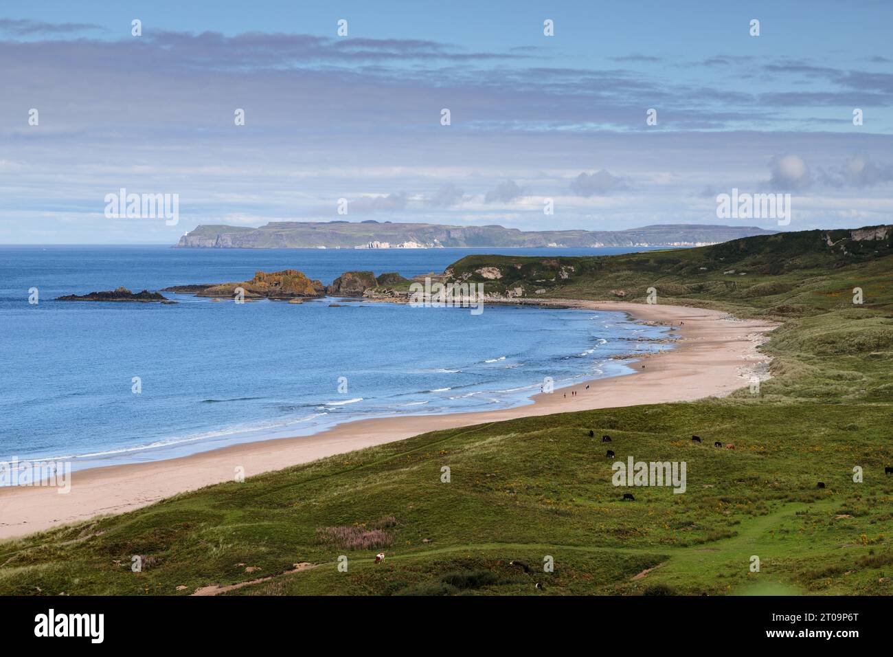 Whitepark Bay, sulla costa di Antrim, nell'Irlanda del Nord Foto Stock