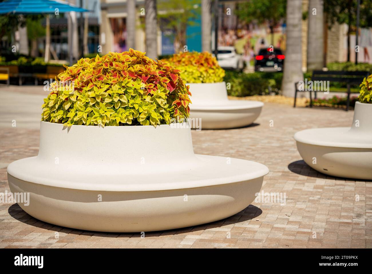 Posti a sedere con piante in una passeggiata commerciale plaza Foto Stock