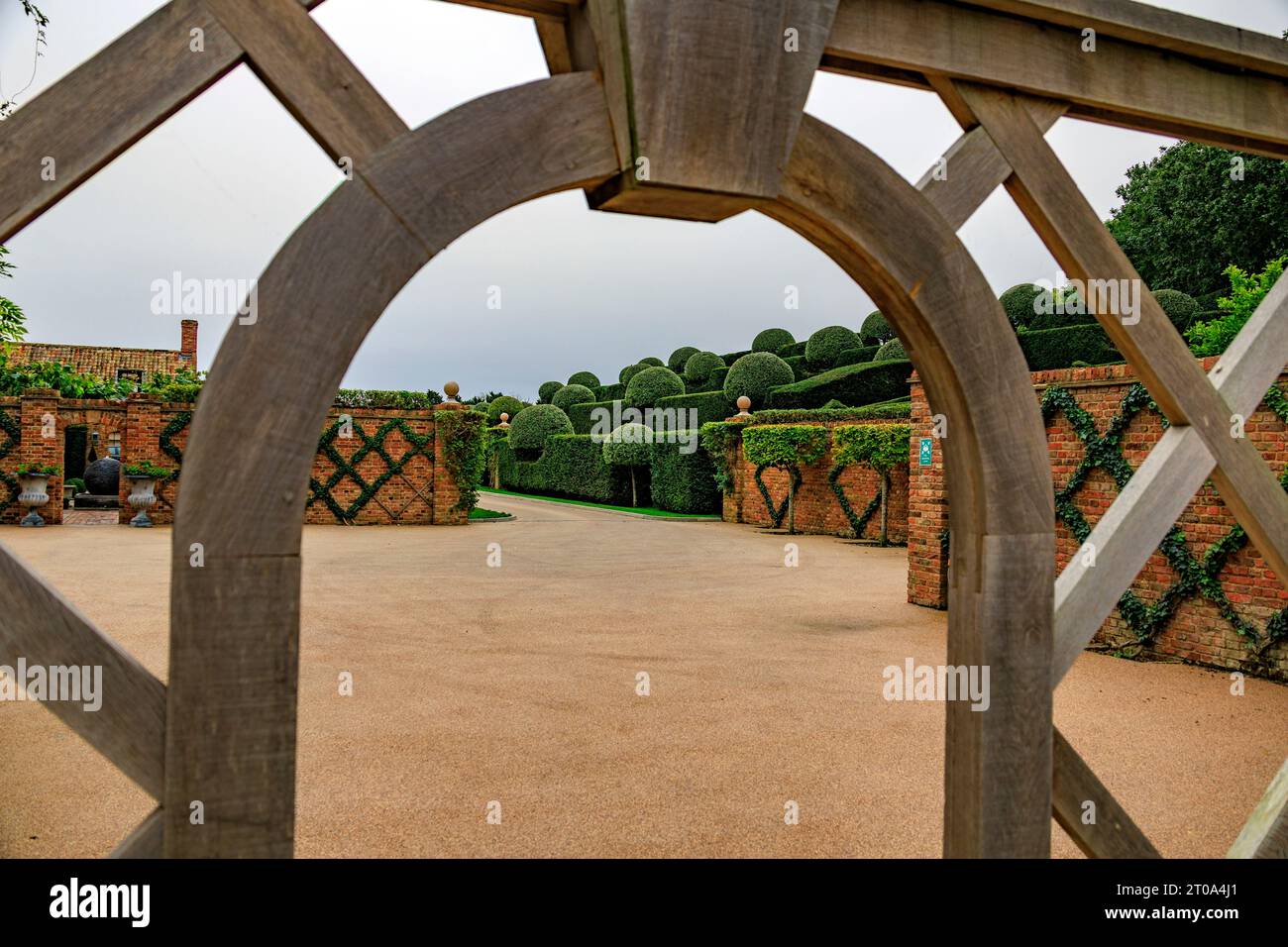 Gli alberi di pera e le siepi di tasso meticolosamente e ordinatamente modellate nei giardini dell'Old Hall Hotel vicino a Ely, Cambridgeshire, Inghilterra, Regno Unito Foto Stock