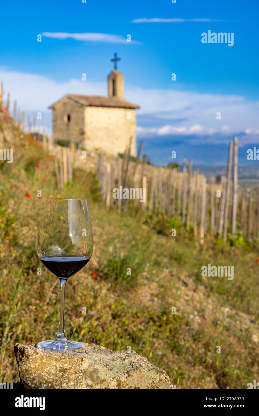 Vigneto Grand cru e Cappella di San Cristoforo, Tain l'Hermitage, Rodano-Alpi, Francia Foto Stock