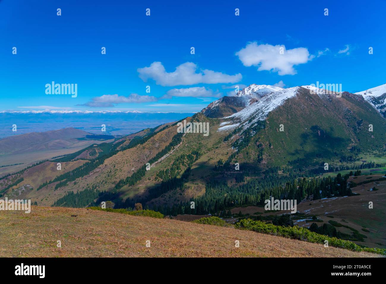 Montagne di Karakol , cime innevate della stazione sciistica di Karakol Foto Stock