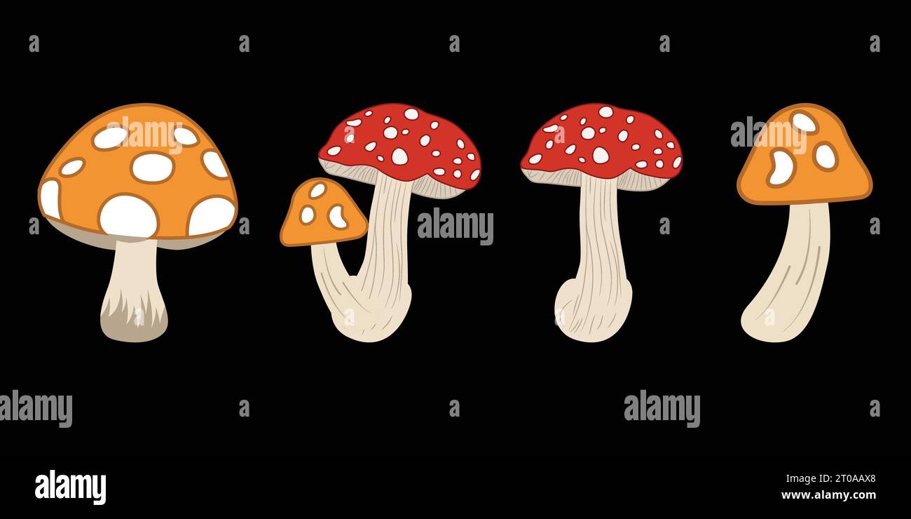 Modello di funghi senza cuciture con molti funghi di colore diverso su sfondo nero Illustrazione Vettoriale