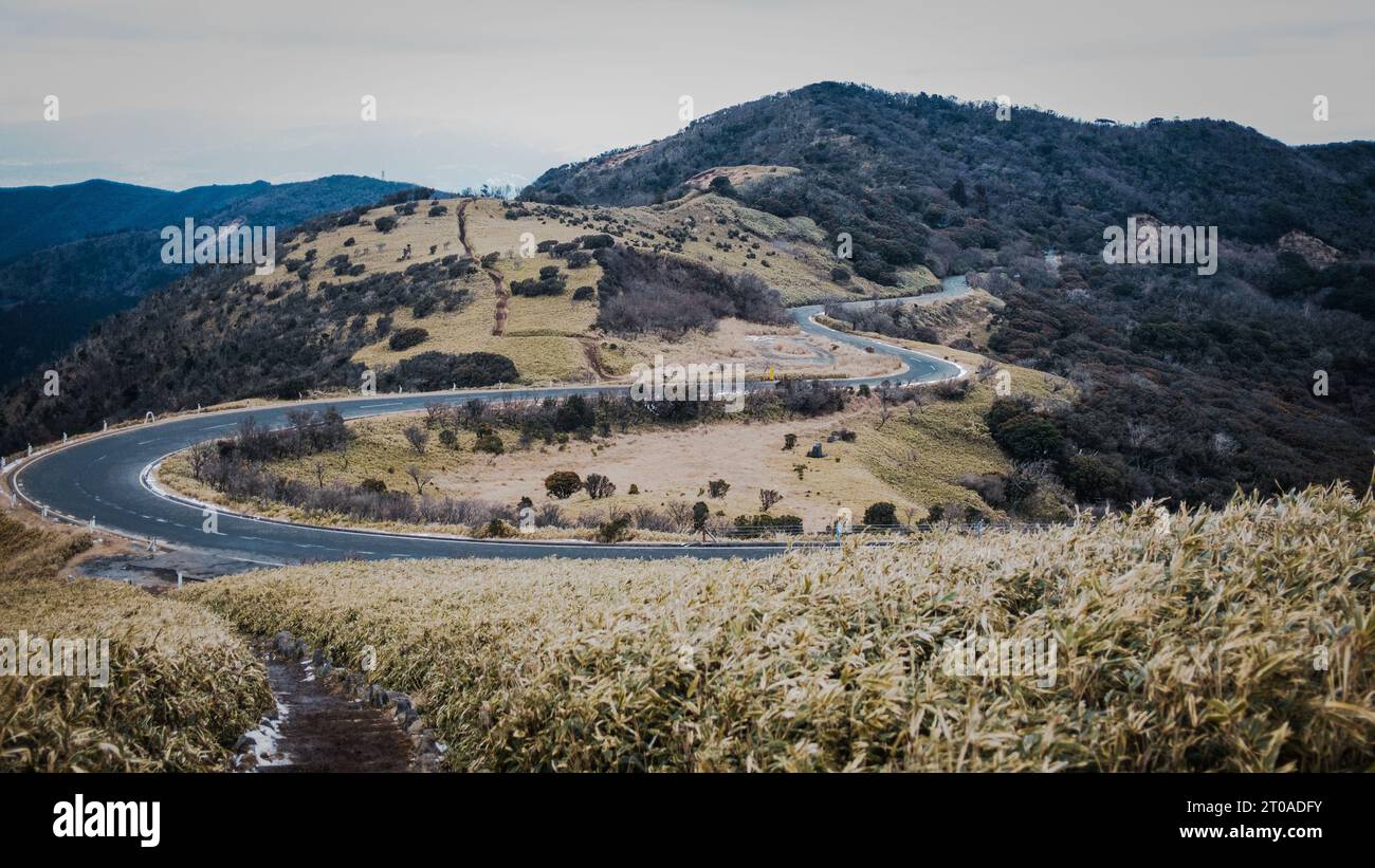 La tortuosa strada a pedaggio dello skyline di Nishi-Izu è un percorso popolare sia per gli appassionati di motori che di ciclismo. Alla seconda curva, puoi vedere la Pa Asebigahara Foto Stock