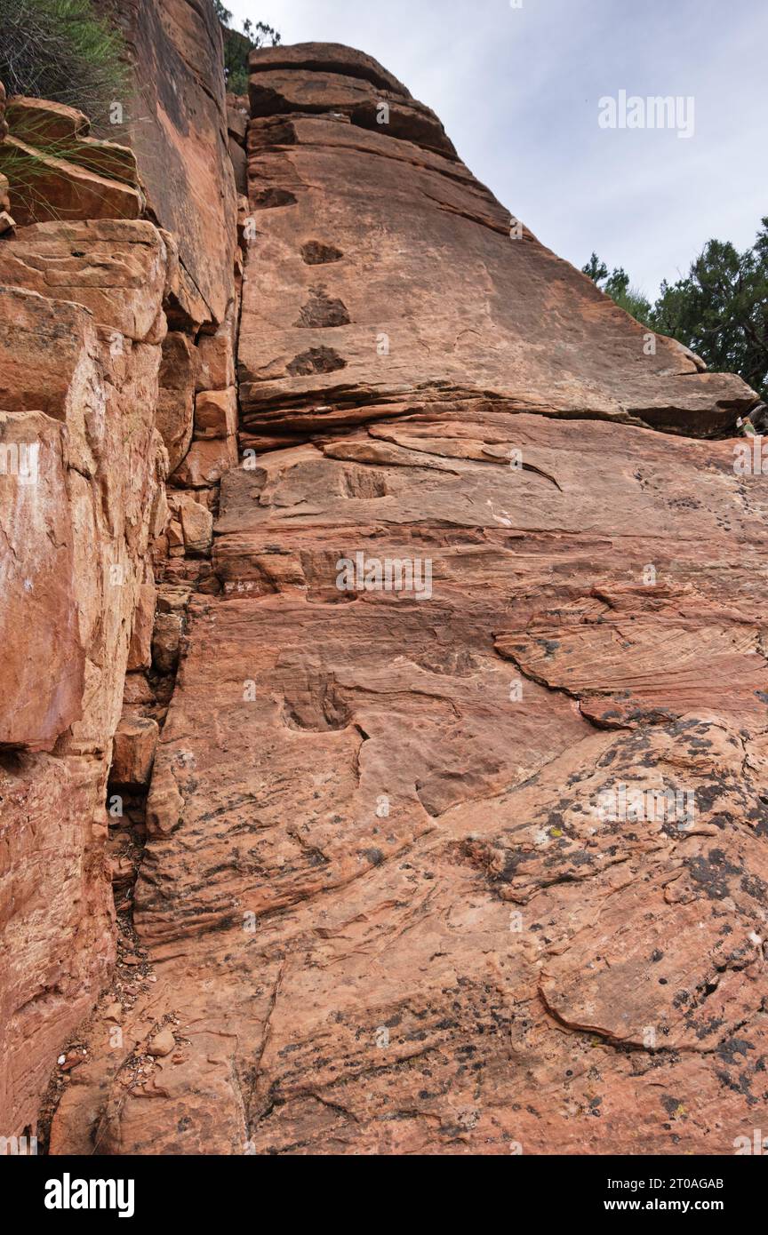 Scalini scolpiti sul vecchio sentiero di Lady Mountain nel Parco Nazionale di Zion Foto Stock