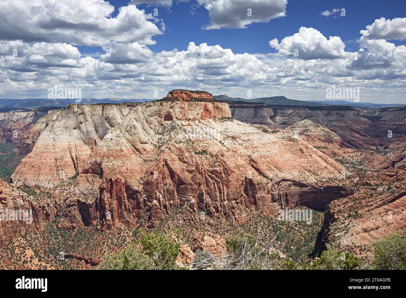 East Temple Mountain nel Parco Nazionale di Zion da Bridge Mountain Foto Stock